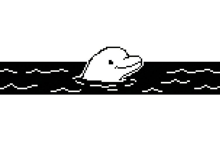 gif--21